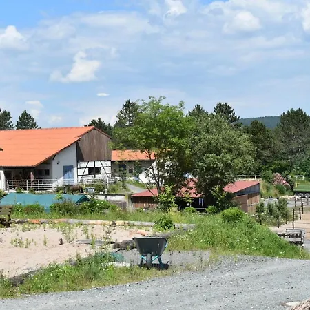 Holiday home Ferienblockhaus 5 Hoelle *