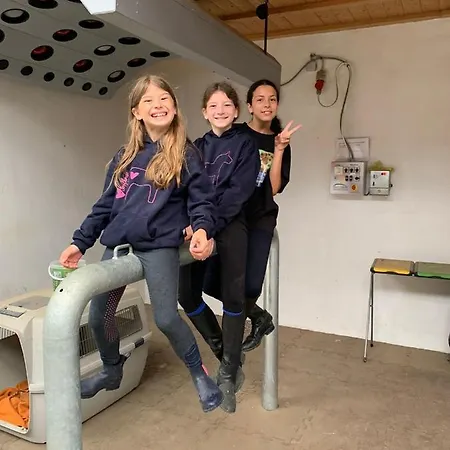 Ferienblockhaus 5 Hoelle Neudrossenfeld