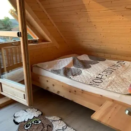Ferienblockhaus 5 Hoelle Holiday home Neudrossenfeld